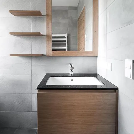 公寓 Planai Penthouse Royal 斯拉德明