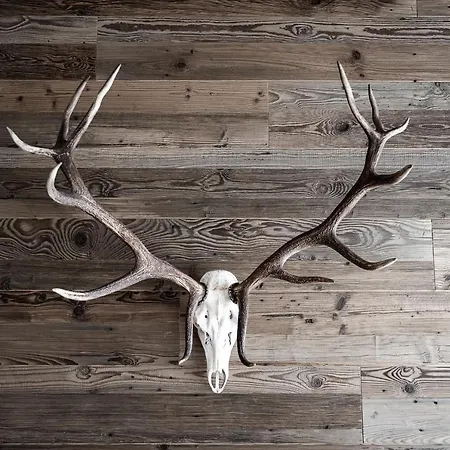 Planai Penthouse Royal