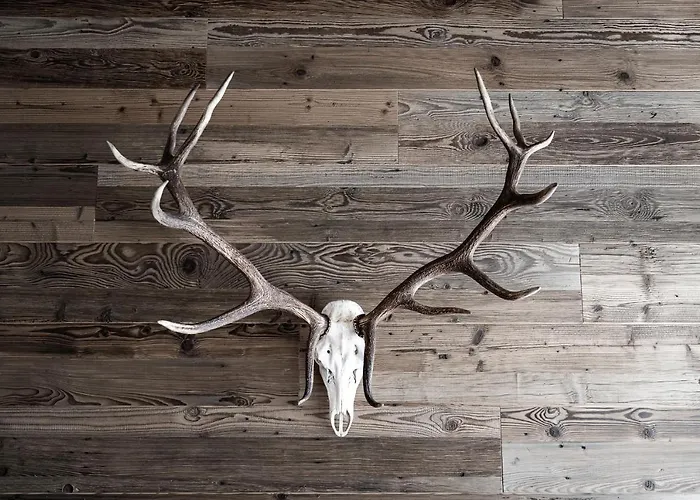 Planai Penthouse Royal